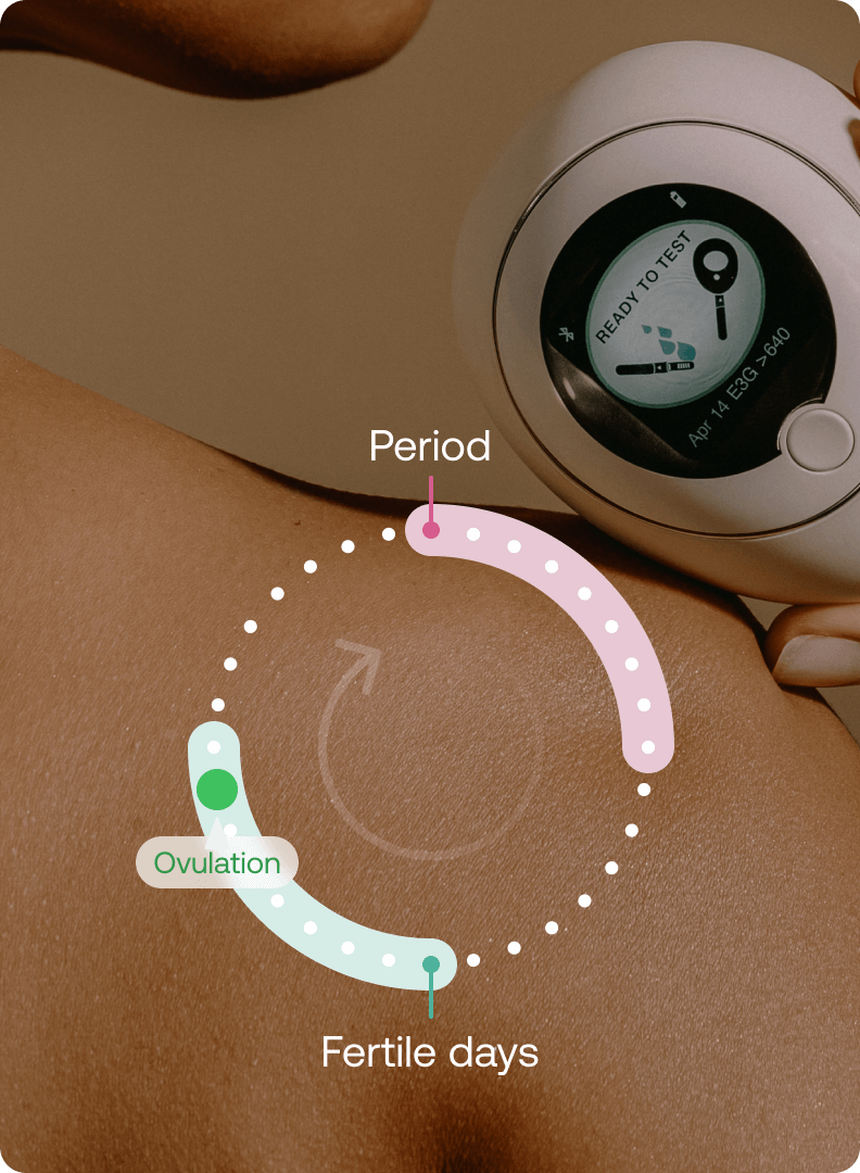 Mira Ultra fertility monitor displaying cycle tracking diagram with period, ovulation, and fertile days phases highlighted