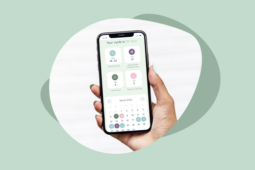 Ovulation Calculator