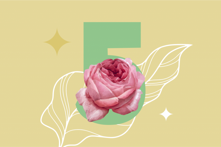 5 DPO Symptoms: What to Expect and When to Test