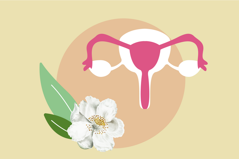 Endometriosis and Pregnancy: What to Expect when TTC