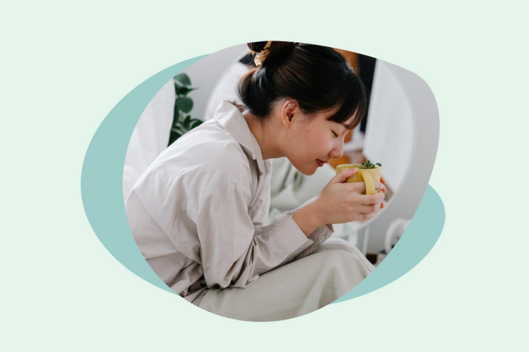 Fertility Herbs Guide to Conceive and Support Pregnancy