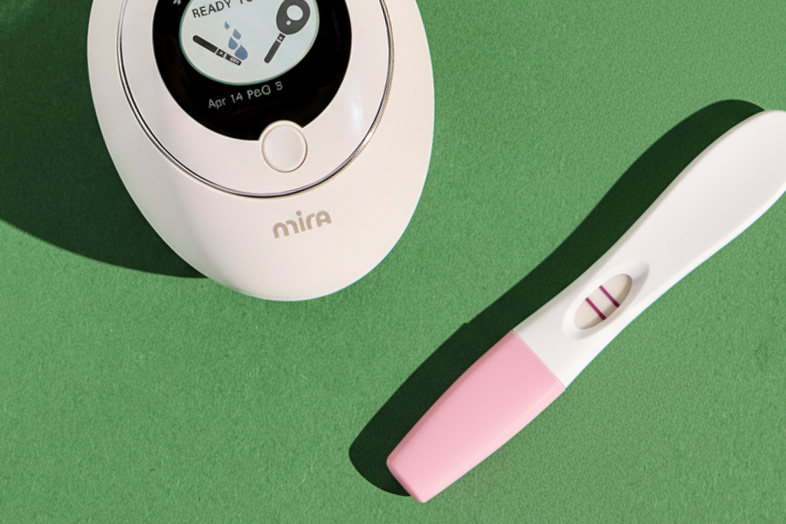 Pregnancy Test Progression