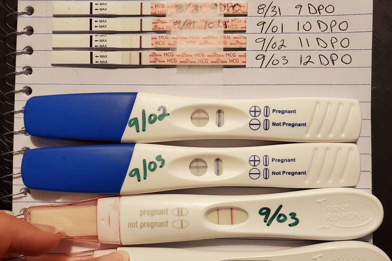Pregnancies tests