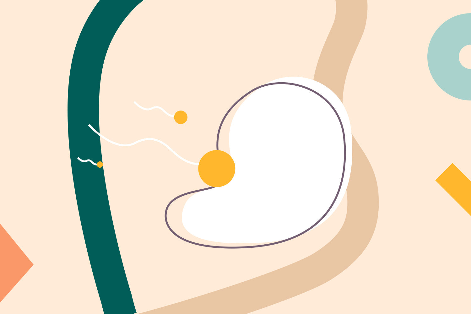 LH Surge Timing, Symptoms, And Ovulation Mira Fertility Shop