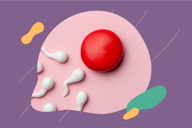 9 Male Fertility Supplements & Vitamins to Improve Sperm