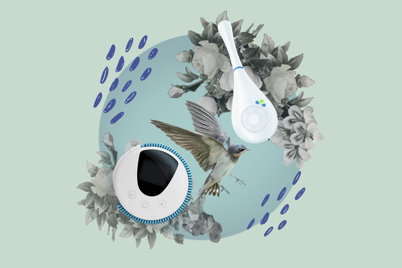 Daysy vs Lady-Comp: Which is Right For You?