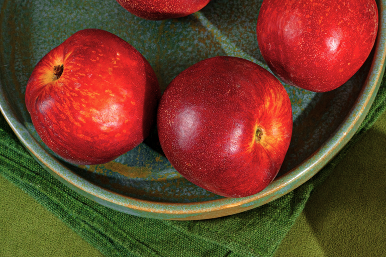 Do I have PCOS? Take Our 2-Minute PCOS Symptoms Quiz