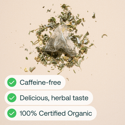Loose herbal tea blend with a mesh tea bag surrounded by dried green and brown plant material on beige background.