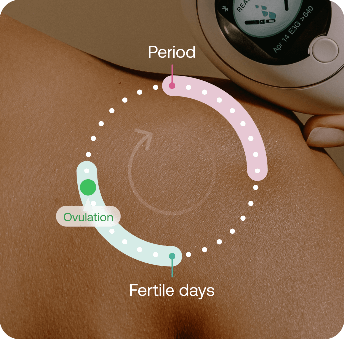 Mira Ultra fertility monitor displaying cycle tracking diagram with period, ovulation, and fertile days phases highlighted