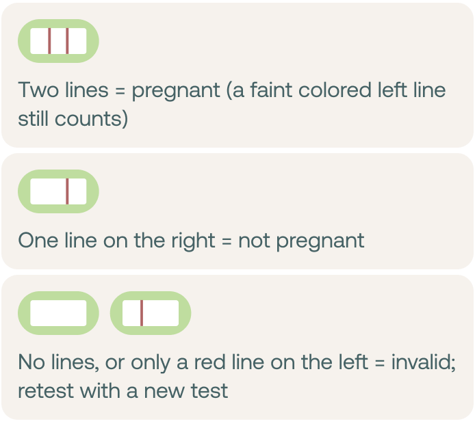 <p>Do not read the result after 10 minutes—lines that appear later may be evaporation lines and not a true positive.</p>